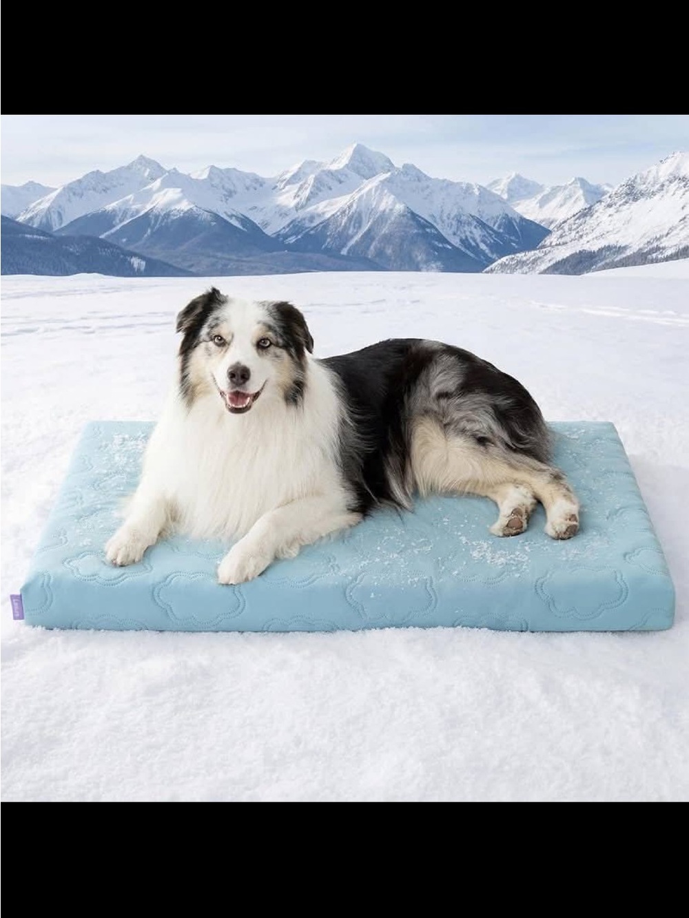 BESURE SUPER FRESH BLUE COOLING ORTHOPEDIC MATTRESS PAD FOR PETS